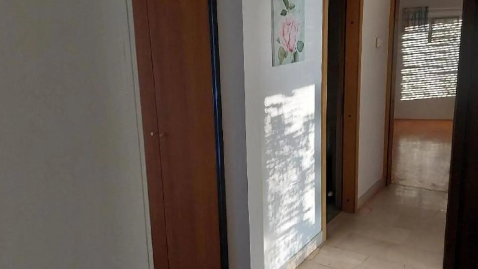 Apartments Kozino